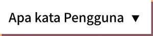 Apa kata Pengguna