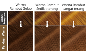 Natural Light Brown. Hasil Selepas Penggunaan.