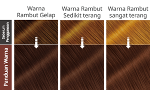 Sepia Silk Brown. Hasil Selepas Penggunaan.