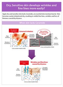 sp_features_img_03_v2