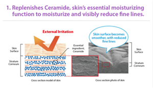 sp_features_img_05_v2