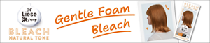 Liese Creamy Bubble Bleach 莉婕泡沫褪色剂
