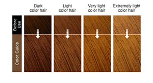 Chestnut Brown. After use hair image. 