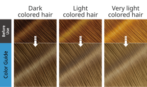 Aurora Ash Blue, color guide