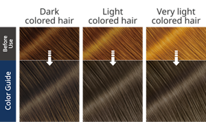 Midnight Ash, color guide