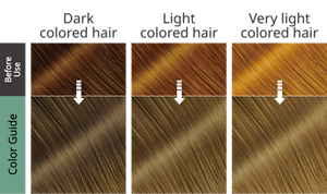 Mint Ash, color guide