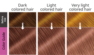 Starlight Rose, color guide