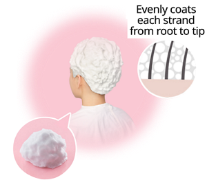 Easy DIY Foam Hair dye