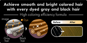 Achieve smooth and bright colored hair with every dyed gray and black hair