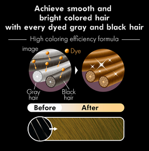 Achieve smooth and bright colored hair with every dyed gray and black hair