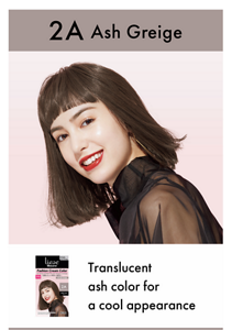 2A Ash Greige