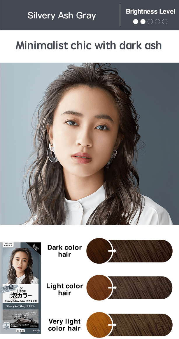Kao Japan liese Prettia Bubble Foaming Hair Color Kit Silvery Ash Gray