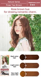 Prettia Hair Dye Color Chart