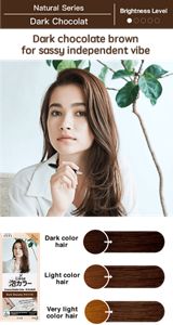 Prettia Hair Dye Color Chart