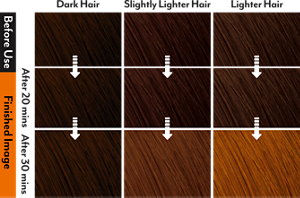 Liese Creamy Bubble Bleach. Color Map. 莉婕泡沫褪色剂。漂后发色示意图