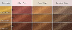Hair color swatches sorted by hair tone