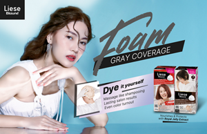 Liese Blauné Creamy Foam Color DENSE MICRO FOAM FOR EXCELLENT GRAY COVERAGE 15 New Fashionable Colors!