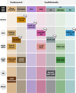 ชาร์ทสีผม