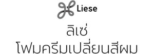 Liese ลิเซ่ โฟมครีมเปลี่ยนสีผมแฟชั่น
