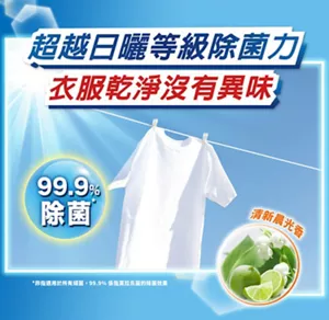 超越日曬等級除菌力 衣服乾淨沒有異味 99.9%除菌 清新晨光香
