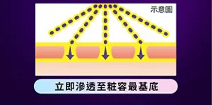立即滲透至粧容最基底
