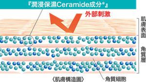 潤浸保濕,Ceramide保養的理念 | 花王Curél 潤浸保濕,Ceramide保養的理念 | 花王Curél
