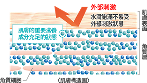 商品特點 | Face 臉部控油保濕屏護系列 | 花王Curél 商品特點 | Face 臉部控油保濕屏護系列 | 花王Curél