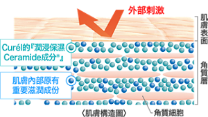 tw_img_features_01_0123