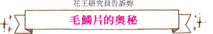 花王研究員告訴妳 毛鱗片的奧秘