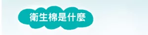 衛生棉是什麼