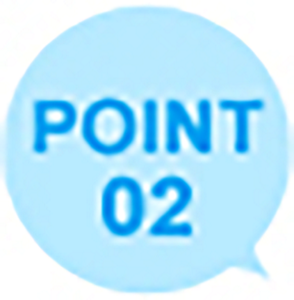 pl_panty2_point2