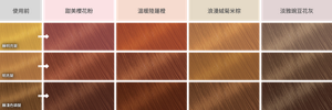 染髮示意圖