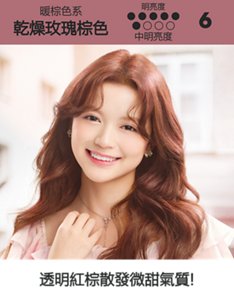 乾燥玫瑰棕色  中明亮度