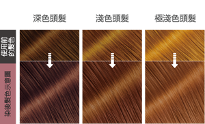 乾燥玫瑰棕色  染後髮色示意圖