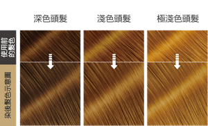蜂蜜戚風棕色  染後髮色示意圖