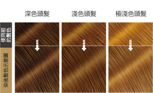 奶茶棕色  染後髮色示意圖