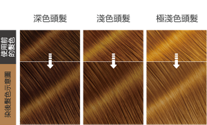 棉花糖棕色  染後髮色示意圖