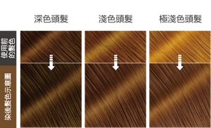 栗子棕色  染後髮色示意圖