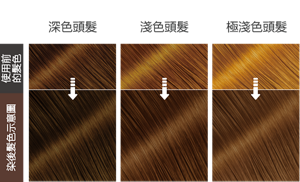 巧克力棕色  染後髮色示意圖