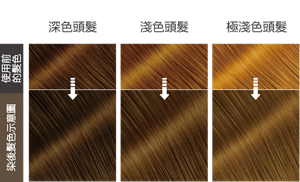 松果灰棕色  染後髮色示意圖