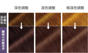 水晶紫羅蘭色  染後髮色示意圖