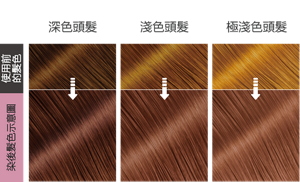 輕甜莓粉色   染後髮色示意圖