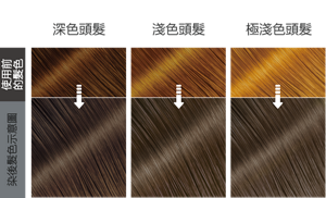 晨霧亞麻灰色  染後髮色示意圖