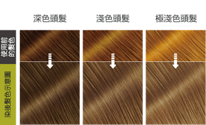 青檸亞麻灰色   染後髮色示意圖