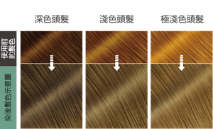 薄荷亞麻灰色  染後髮色示意圖