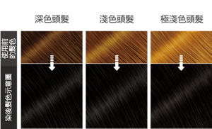自然黑色   染後髮色示意圖