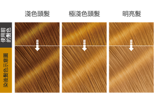 琥珀閃棕  染後髮色示意圖