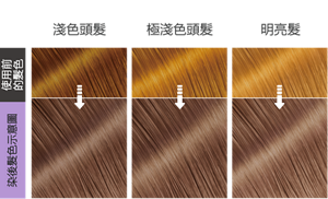 星雲幻紫  染後髮色示意圖