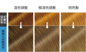 極光藍灰   染後髮色示意圖