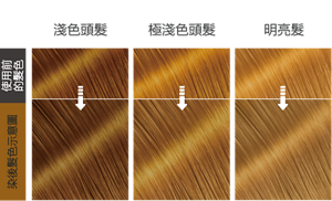 鎏金可可  染後髮色示意圖